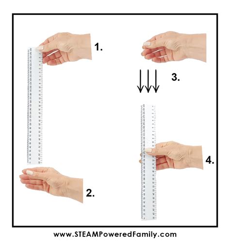 reaction time test for dropping a ruler and catching it|reaction time calculator ruler drop.